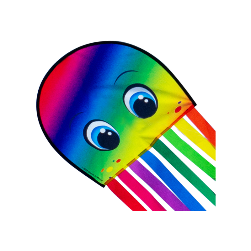 Latawiec Draki XL RAINBOW - Sklep z latawcami