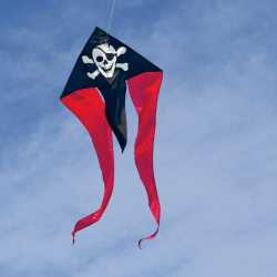 Latawiec F-Tail Pirate MUSTHAVE - Sklep z latawcami