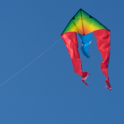 Latawiec F-Tail Rainbow MUSTHAVE - Sklep z latawcami