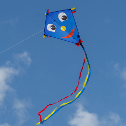 Latawiec Happy Eddy BLUE - Sklep z latawcami