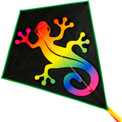 Latawiec RAINBOW EDDY Lizard - Sklep z latawcami