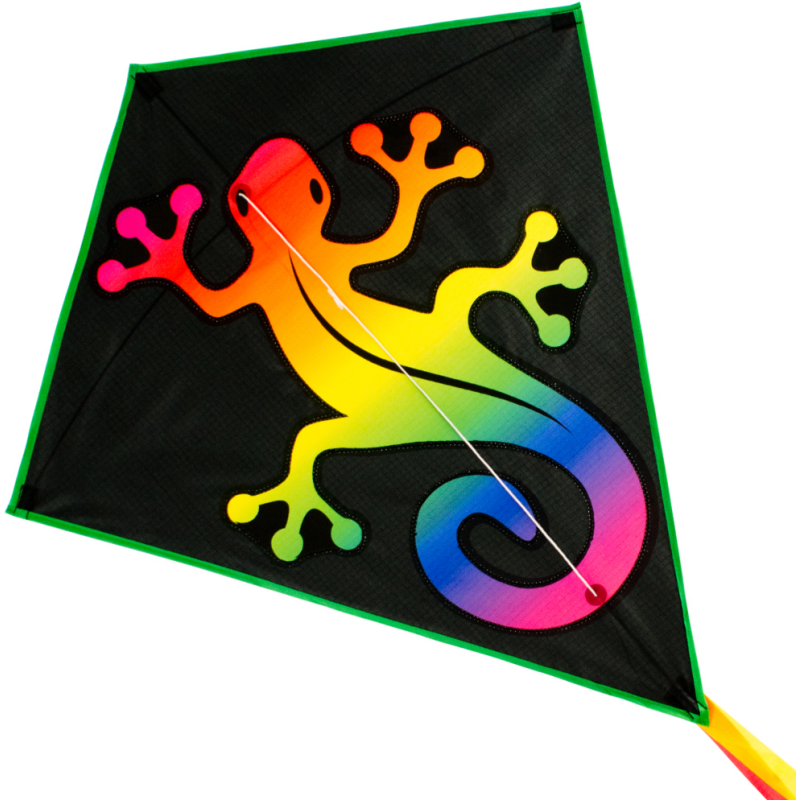 Latawiec RAINBOW EDDY Lizard - Sklep z latawcami