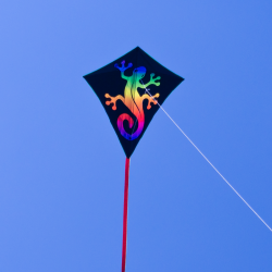 Latawiec RAINBOW EDDY Lizard - Sklep z latawcami