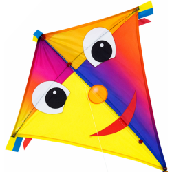 Latawiec Happy Eddy JOKER - Sklep z latawcami