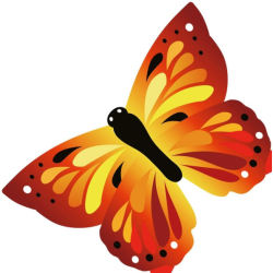 Latawiec Motyl Sunrise Ecoline Invento - Sklep z latawcami