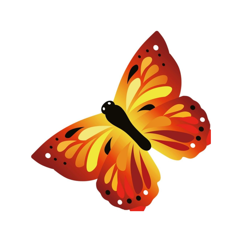 Latawiec Motyl Sunrise Ecoline Invento - Sklep z latawcami