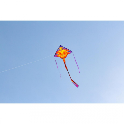 Latawiec Simple Flyer 120 Phoenix - Sklep z latawcami