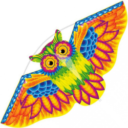 Latawiec HQ Flashy Owl Kite - Sklep z latawcami