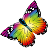 Latawiec HQ Butterfly Kite Rainbow - Sklep z latawcami