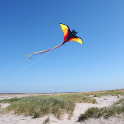 Latawiec Wolkenstürmer Benny Bat - Sklep z latawcami