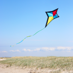 Latawiec Eddy Star - Sklep z latawcami