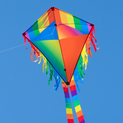 Latawiec Maya Eddy JOKER - Sklep z latawcami