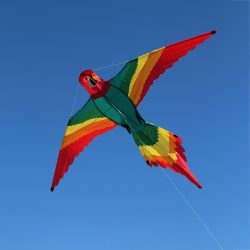 Latawiec WOLKENSTÜRMER  Pablo Parrot - Sklep z latawcami