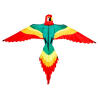 Latawiec WOLKENSTÜRMER  Pablo Parrot - Sklep z latawcami