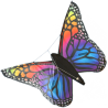 Latawiec Butterfly Rainbow - Sklep z latawcami