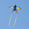 Latawiec HQ Swallow Kite Rainbow - Sklep z latawcami