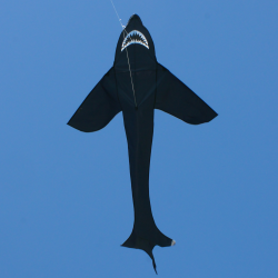 Latawiec Sky Shark - Sklep z latawcami