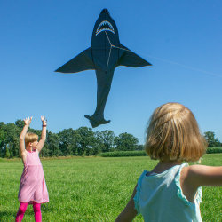 Latawiec Sky Shark - Sklep z latawcami