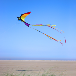 Latawiec Bonny Bird - Sklep z latawcami