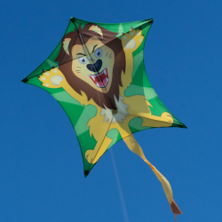 Latawiec Penta Lion - Sklep z latawcami