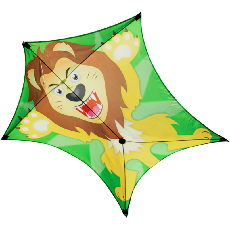 Latawiec Penta Lion - Sklep z latawcami