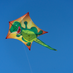 Latawiec Penta T-Rex - Sklep z latawcami