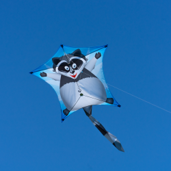 Latawiec Penta WASCHBAR - Sklep z latawcami