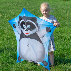 Latawiec Penta WASCHBAR - Sklep z latawcami