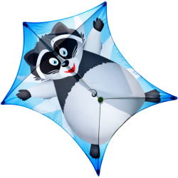 Latawiec Penta WASCHBAR - Sklep z latawcami