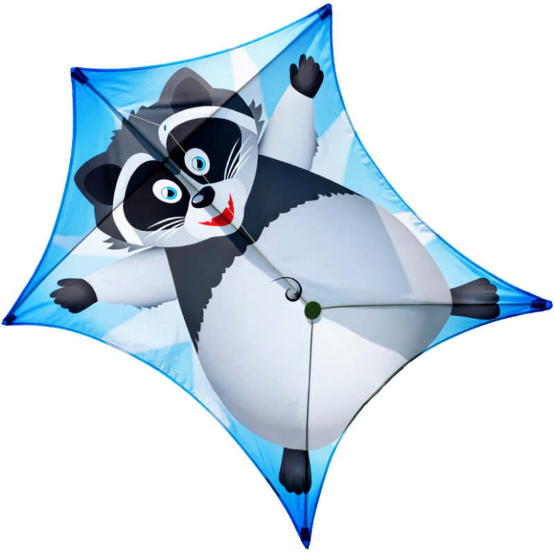 Latawiec Penta WASCHBAR - Sklep z latawcami