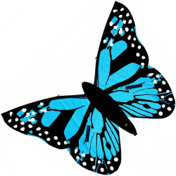 Latawiec Motyl Bella Wolkensturmer - niebieski - Sklep z latawcami