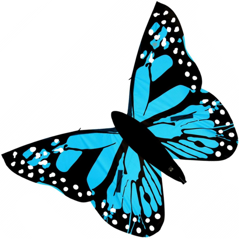 Latawiec Motyl Bella Wolkensturmer - niebieski - Sklep z latawcami