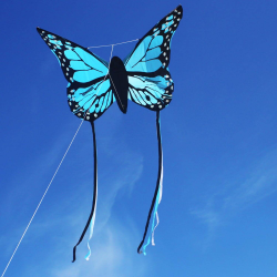 Latawiec Motyl Bella Wolkensturmer - niebieski - Sklep z latawcami