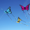 Latawiec Motyl Bella Wolkensturmer - niebieski - Sklep z latawcami