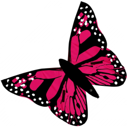 Latawiec Motyl Bella Wolkensturmer  - różowy - Sklep z latawcami