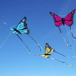 Latawiec Motyl Bella Wolkensturmer  - różowy - Sklep z latawcami