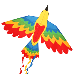 Latawiec Bird Dragon RAINBOW - Sklep z latawcami