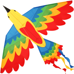 Latawiec Bird Dragon RAINBOW - Sklep z latawcami