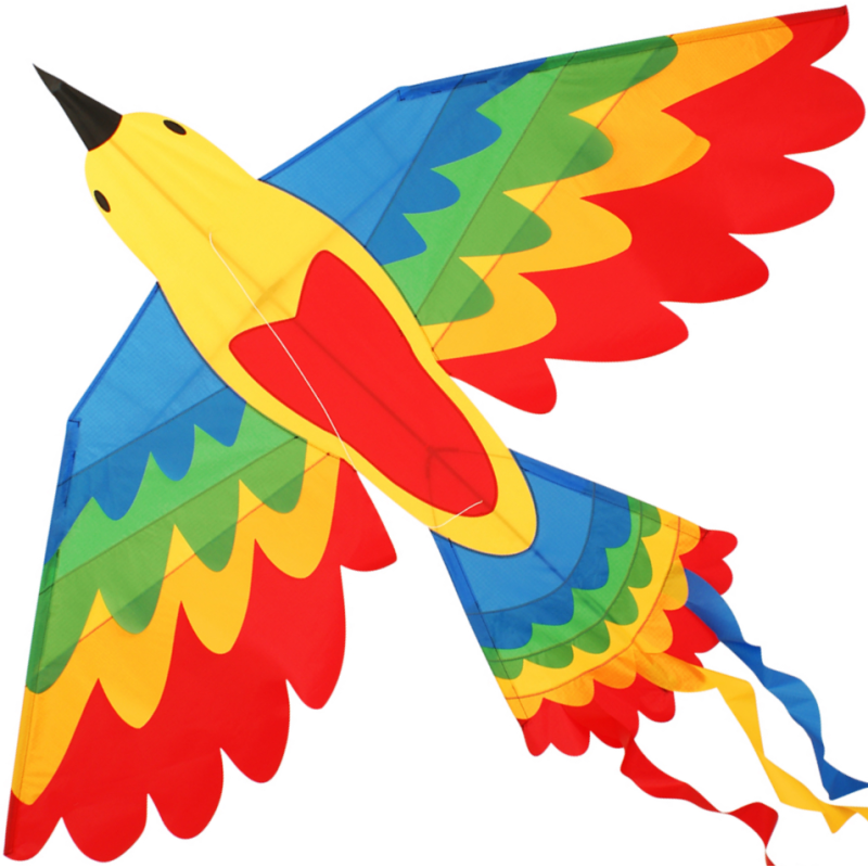 Latawiec Bird Dragon RAINBOW - Sklep z latawcami