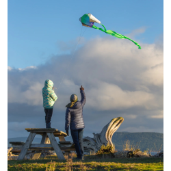 Latawiec Pocket Flyer Electric Prism - Sklep z latawcami