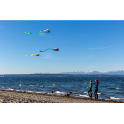 Latawiec Pocket Flyer Electric Prism - Sklep z latawcami