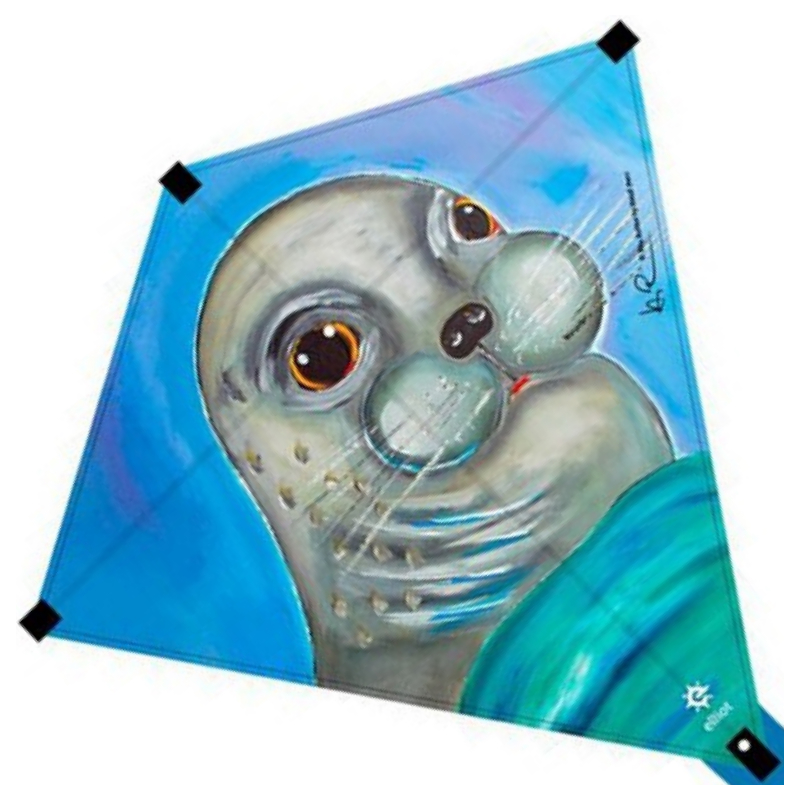 Latawiec Elliot Eddy Seal - Sklep z latawcami