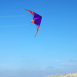 Latawiec Wolkensturmer Skydart Black - Sklep z latawcami