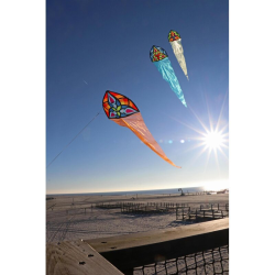 Latawiec Carsten Domann's Starlight blue - Sklep z latawcami