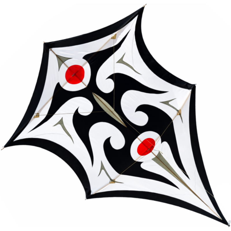 Latawiec Carsten Domanns Sky Shield - Sklep z latawcami