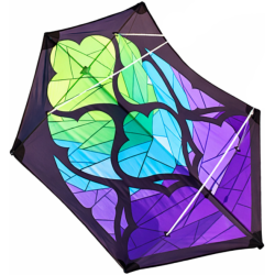 Latawiec Brasington Rokkaku - Sklep z latawcami