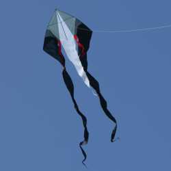 Latawiec F-Tail XXL black/grey - Sklep z latawcami