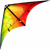 Spiderkites Buddy 2025 Rainbow