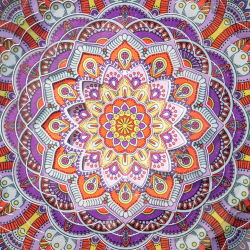 MANDALA 200 KASHMIR