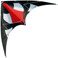 Latawiec BEETLE-X15 Flash - Sklep z latawcami